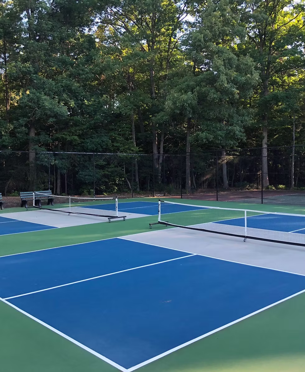 Recreational Courts