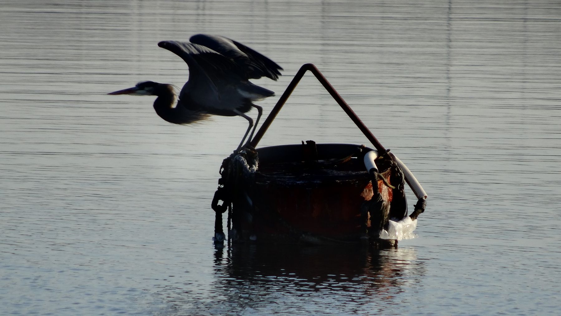 1,200ft waterfront dock