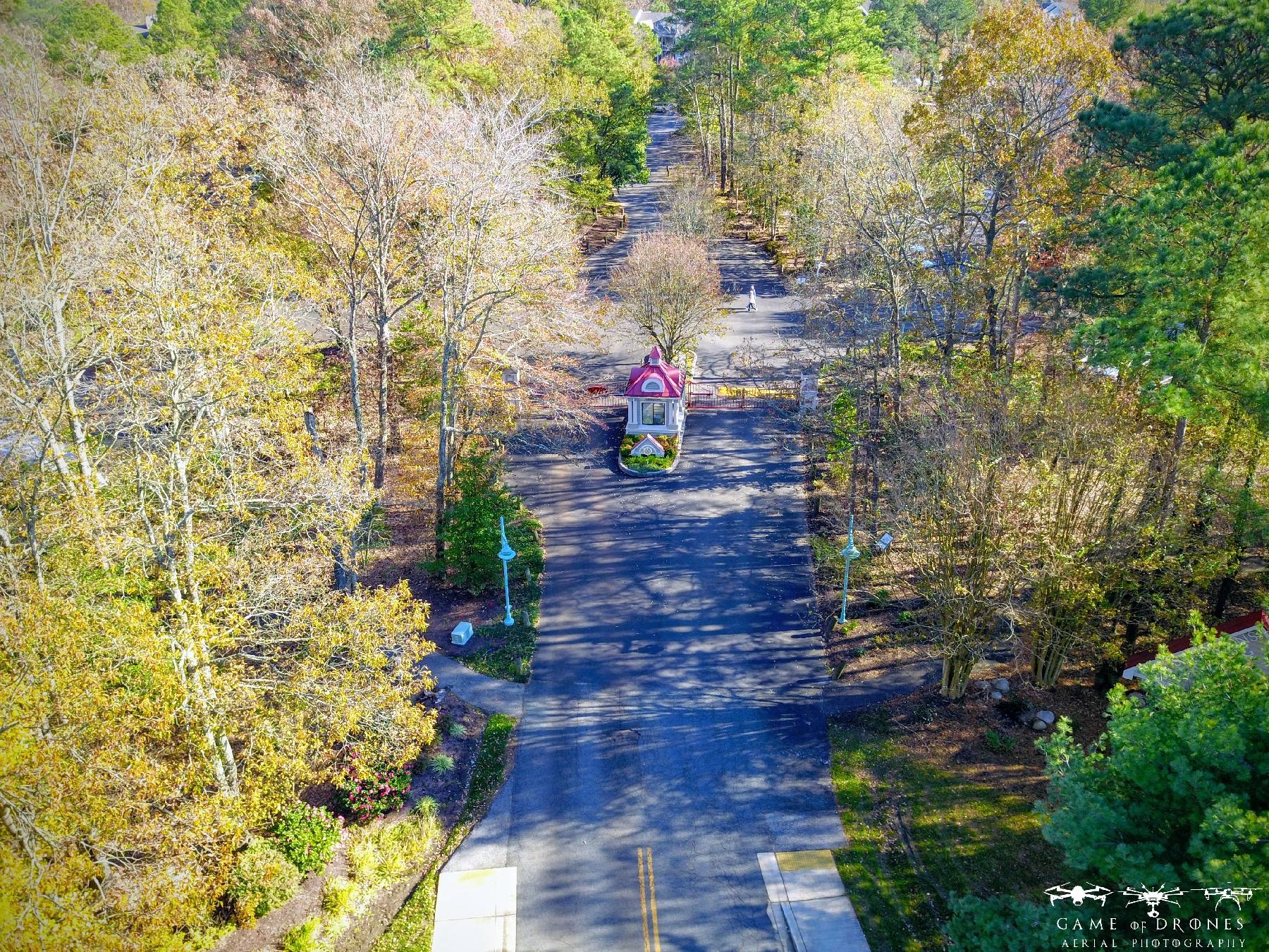 Wildlife at Solomons Landing