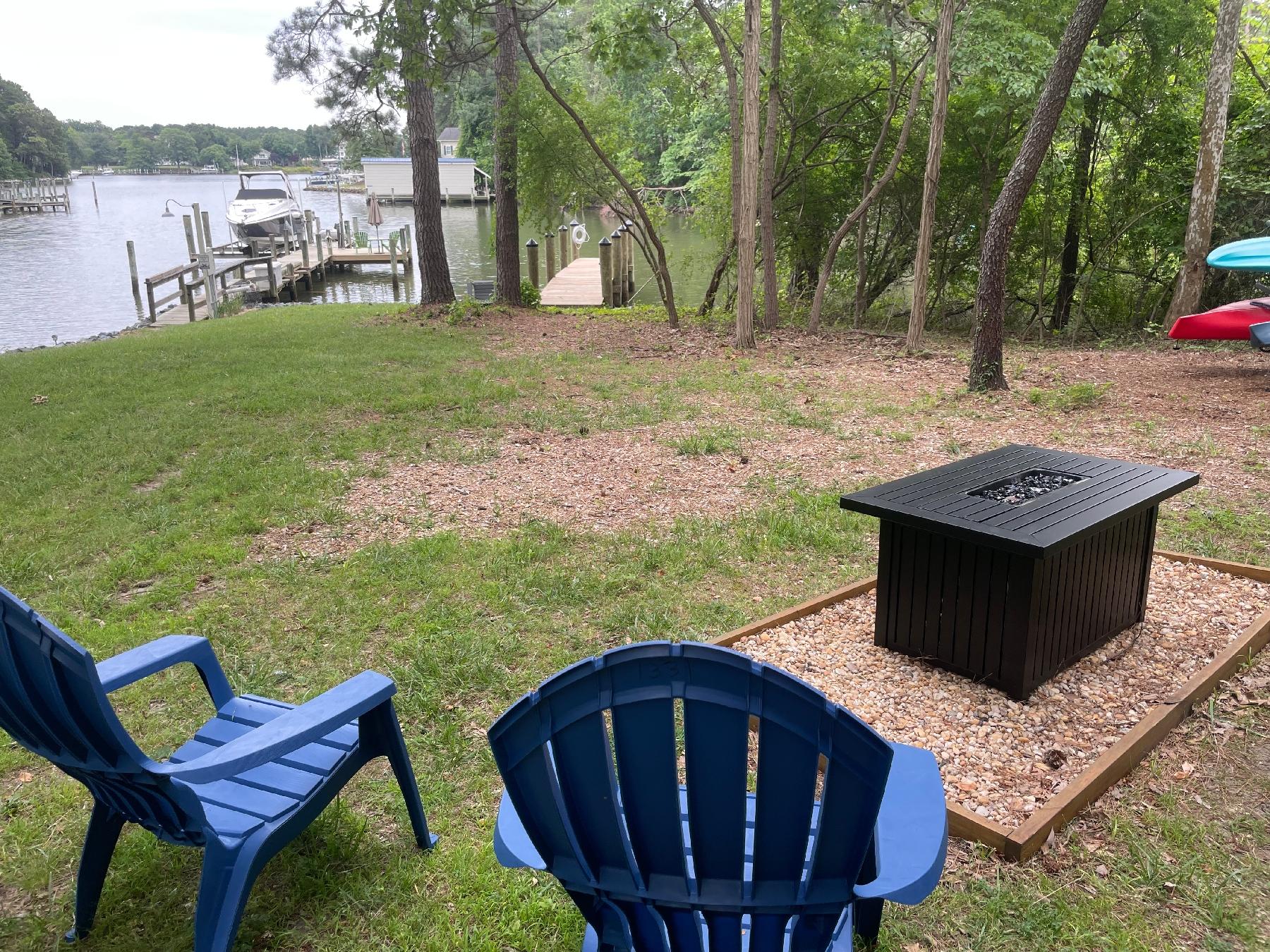 Summer shade and trees