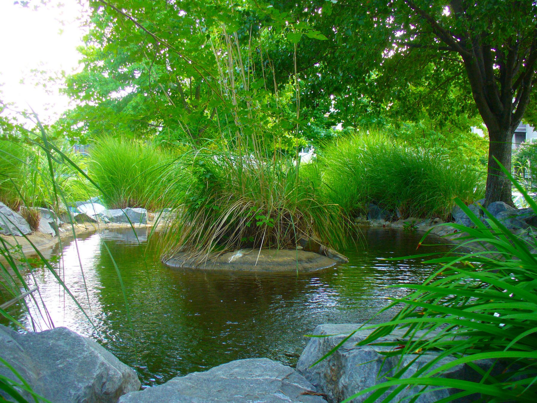 Nature trail lookout point